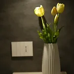 Enea Трапани